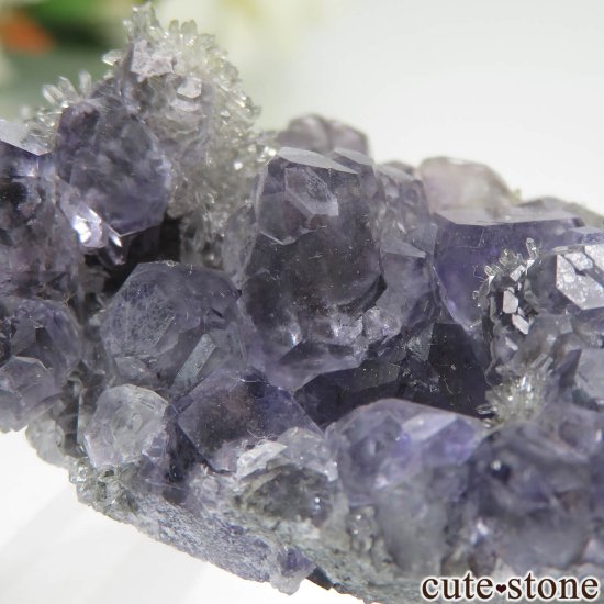 ʡ Xia Yang Mine ե饤ȡĤդ No.37μ̿3 cute stone
