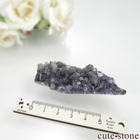 ʡ Xia Yang Mine ե饤ȡĤդ No.37μ̿5 cute stone