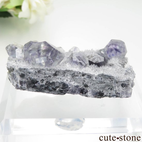ʡ Xia Yang Mine ե饤ȡĤդ No.38μ̿1 cute stone