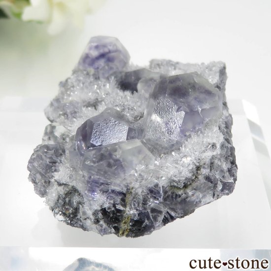 ʡ Xia Yang Mine ե饤ȡĤդ No.38μ̿2 cute stone