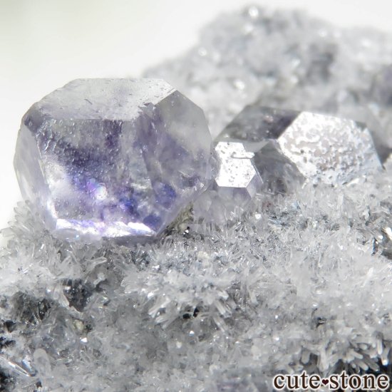 ʡ Xia Yang Mine ե饤ȡĤդ No.38μ̿4 cute stone