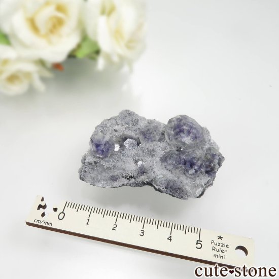 ʡ Xia Yang Mine ե饤ȡĤդ No.38μ̿5 cute stone