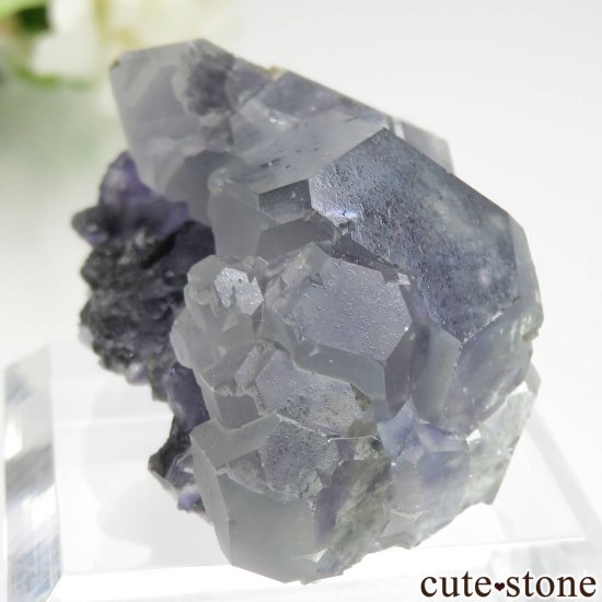 ʡ Xia Yang Mine ꡼ߥ֥롼ե饤Ȥդ No.39μ̿0 cute stone