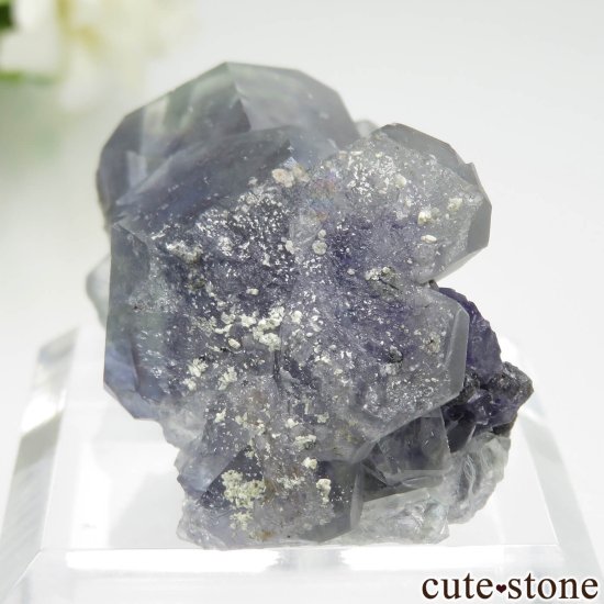 ʡ Xia Yang Mine ꡼ߥ֥롼ե饤Ȥդ No.39μ̿2 cute stone