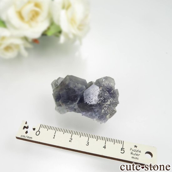 ʡ Xia Yang Mine ꡼ߥ֥롼ե饤Ȥդ No.39μ̿3 cute stone