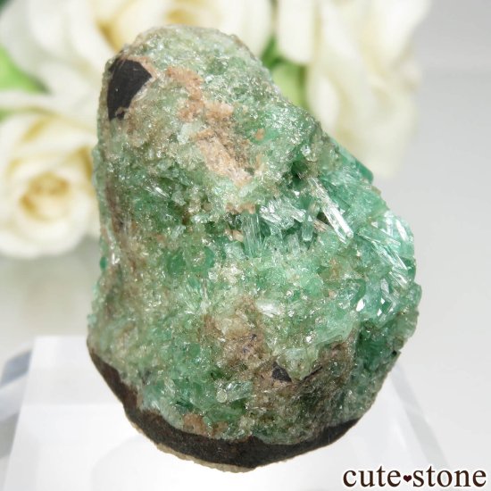 ӥ Muzo Mine ɤդ뾽ʸСNo.4μ̿0 cute stone