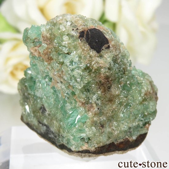 ӥ Muzo Mine ɤդ뾽ʸСNo.4μ̿1 cute stone