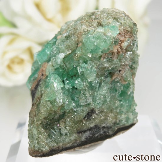ӥ Muzo Mine ɤդ뾽ʸСNo.4μ̿2 cute stone