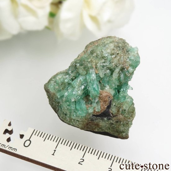 ӥ Muzo Mine ɤդ뾽ʸСNo.4μ̿6 cute stone