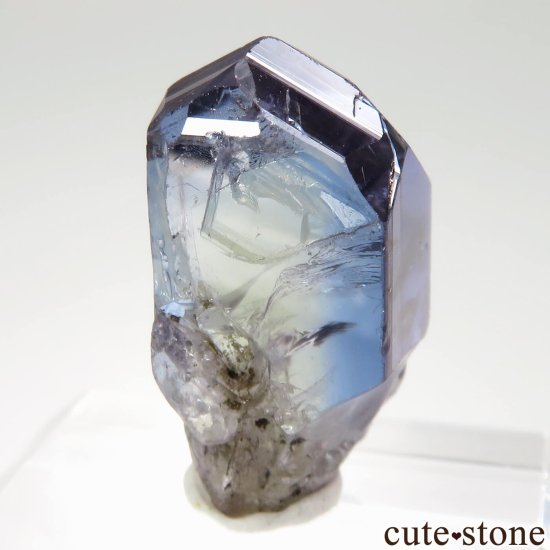 6ǯǰ 󥶥˥ ˻ Х顼ȡʥ󥶥ʥȡˤθ No.84μ̿2 cute stone