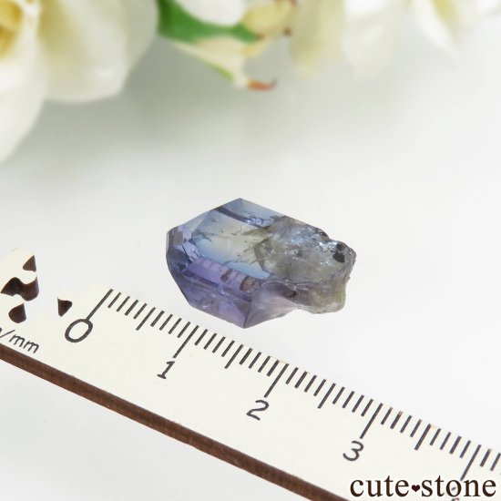 6ǯǰ 󥶥˥ ˻ Х顼ȡʥ󥶥ʥȡˤθ No.84μ̿7 cute stone