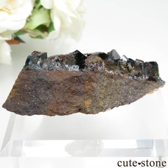 ʥ 桼 ԥåɥ꡼ 饺饤(ŷ)θ No.30μ̿1 cute stone