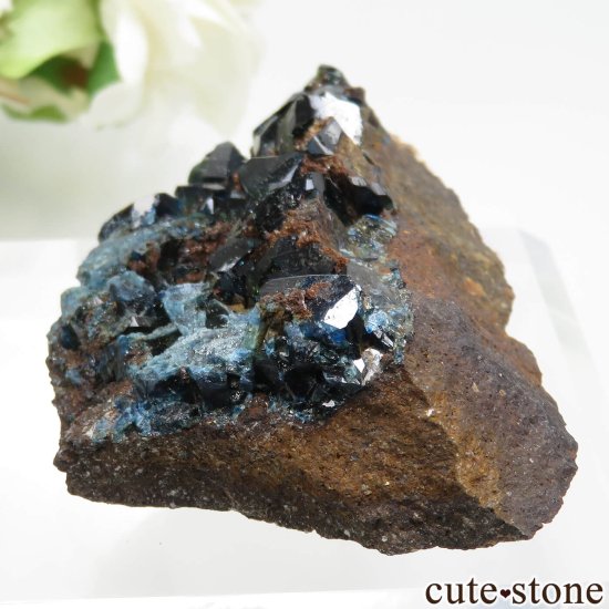 ʥ 桼 ԥåɥ꡼ 饺饤(ŷ)θ No.30μ̿2 cute stone