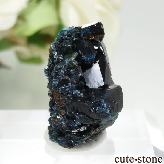 ʥ 桼 ԥåɥ꡼ 饺饤(ŷ)θ No.31μ̿0 cute stone