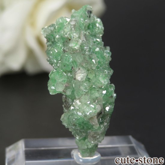 カナダ ケベック州 Jeffrey Mine産 グリーングロッシュラーガーネット（フロッグエッグ）の原石 No.1 - cute stone -