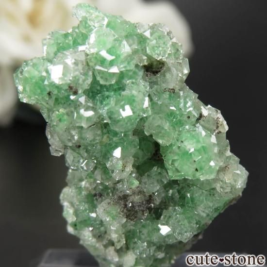 カナダ ケベック州 Jeffrey Mine産 グリーングロッシュラー