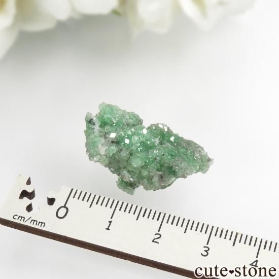 カナダ ケベック州 Jeffrey Mine産 グリーングロッシュラー