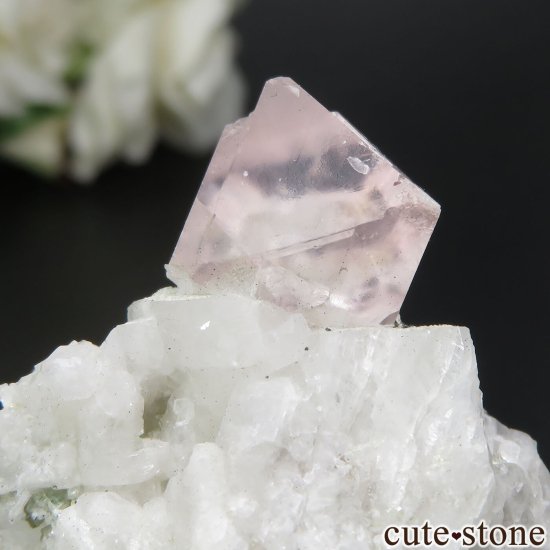 ѥ Shigar ԥ󥯥ե饤ȡ⥹ХȡХȤθ No.1μ̿3 cute stone