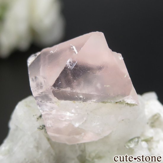 ѥ Shigar ԥ󥯥ե饤ȡ⥹ХȡХȤθ No.1μ̿5 cute stone