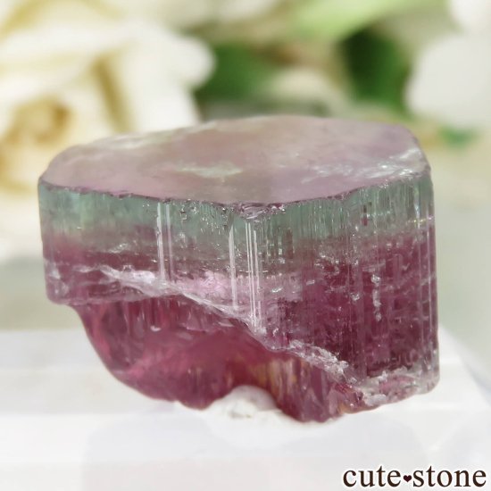 󥴶¹ Bukavu ȥޥθ No.1μ̿0 cute stone