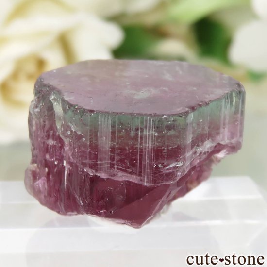 󥴶¹ Bukavu ȥޥθ No.1μ̿1 cute stone