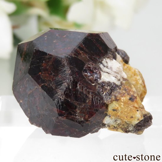 ޥ Vorondolo ͥåȡʥޥǥˤθ No.1μ̿2 cute stone