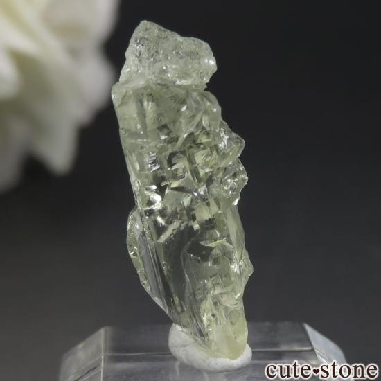 饤 Khoroshiv إꥪɡʥå󥰡ˤθ No.1μ̿0 cute stone