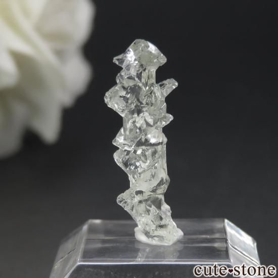 饤 Khoroshiv إꥪɡʥå󥰡ˤθ No.3μ̿1 cute stone