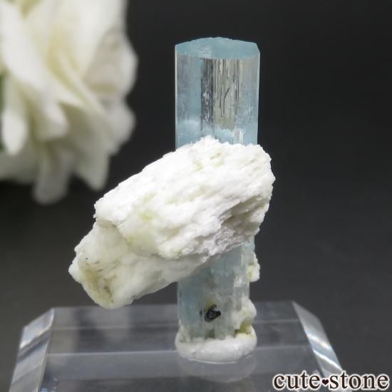 ʥߥӥ 󥴻 ޥ֥åȥޥХȸ No.36μ̿1 cute stone