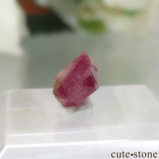 ߥޡ ⥴ ԥ󥯥ԥͥоϻNo.16μ̿2 cute stone