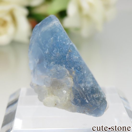 ӥ ֥롼ե饤Ȥθ No.1μ̿0 cute stone