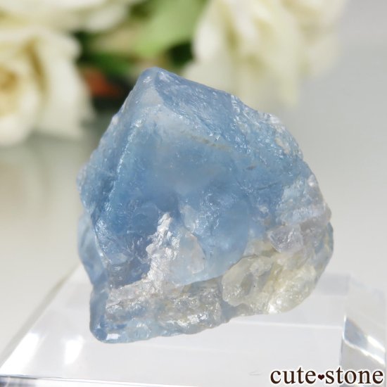 ӥ ֥롼ե饤Ȥθ No.1μ̿1 cute stone