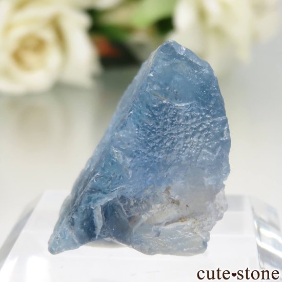 ӥ ֥롼ե饤Ȥθ No.1μ̿2 cute stone