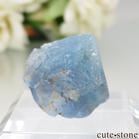 ӥ ֥롼ե饤Ȥθ No.2μ̿0 cute stone