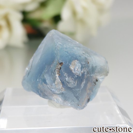 ӥ ֥롼ե饤Ȥθ No.2μ̿1 cute stone