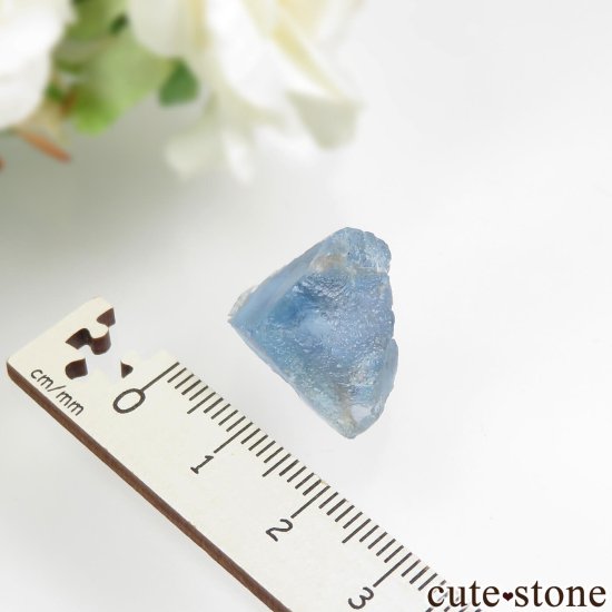 ӥ ֥롼ե饤Ȥθ No.2μ̿3 cute stone