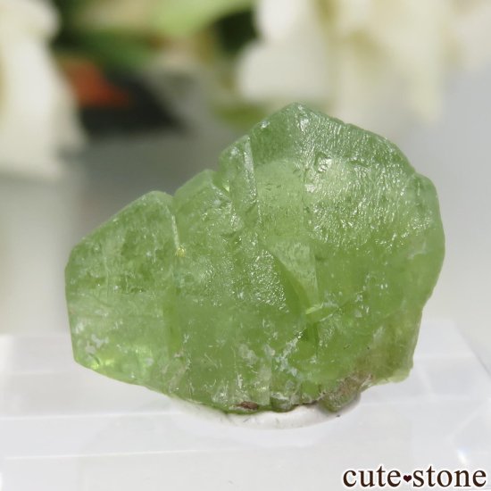 ѥ Supat Valley ڥɥåȤη뾽ʸСNo.20μ̿1 cute stone