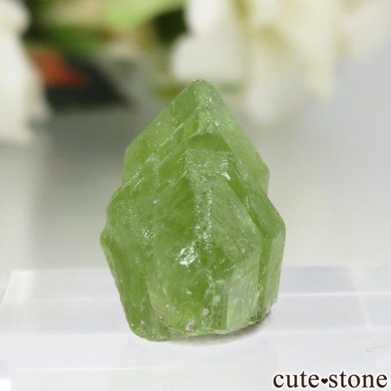 ѥ Supat Valley ڥɥåȤη뾽ʸСNo.20μ̿2 cute stone