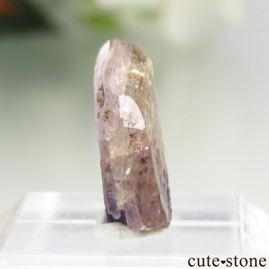 ˻ ԥ󥯡ߥȤη뾽ʸСNo.85μ̿0 cute stone