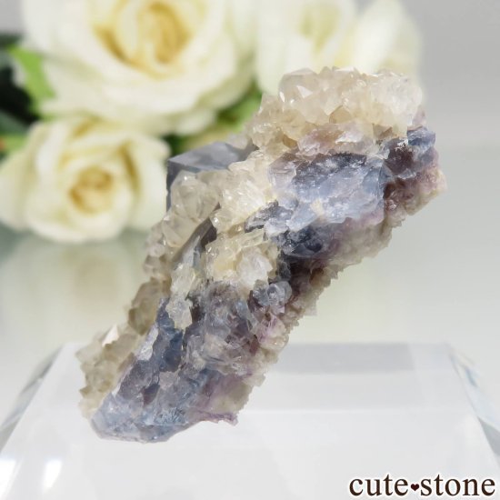 ե Sauvagnat ֥롼ե饤ȡĤθ No.1μ̿3 cute stone