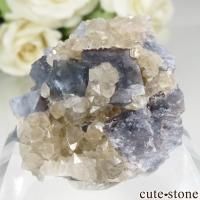 ե Sauvagnat ֥롼ե饤ȡĤθ No.1β