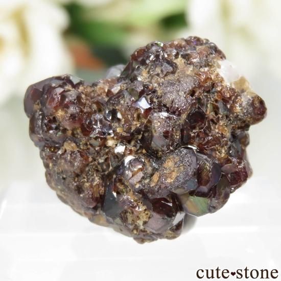 ˥ Tchibarakaten 쥤ܡͥåȡʥɥȥͥåȡˤθ No.1μ̿1 cute stone