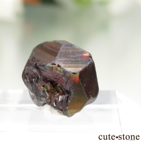 ˥ Tchibarakaten 쥤ܡͥåȡʥɥȥͥåȡˤθ No.2μ̿0 cute stone
