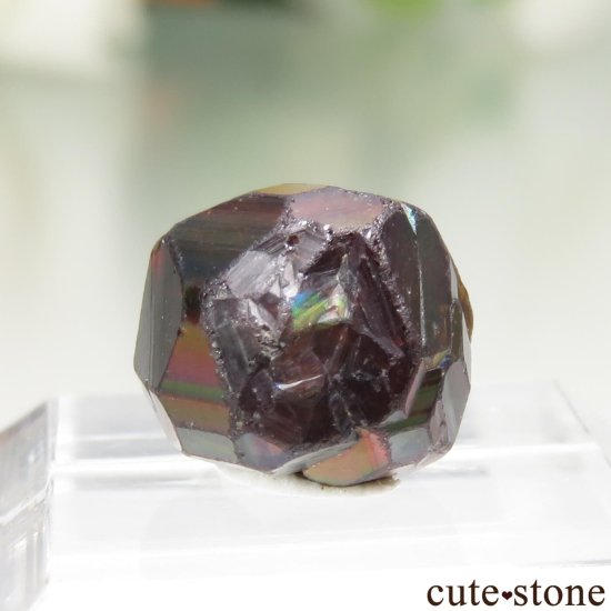 ˥ Tchibarakaten 쥤ܡͥåȡʥɥȥͥåȡˤθ No.2μ̿2 cute stone