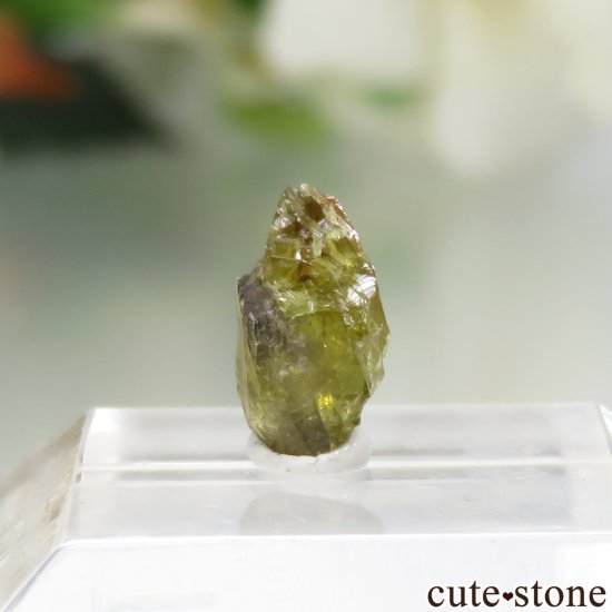 宇宙から来たペリドット！（チリ イミラック隕石・パラサイトペリドット） No.1の画像 cute stone