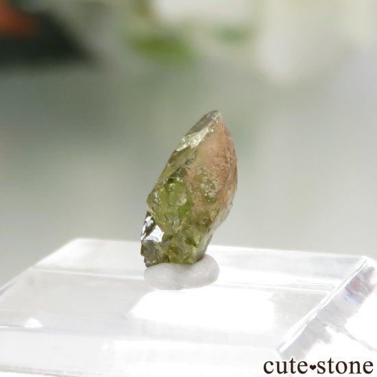 褫褿ڥɥåȡʥ ߥåСѥ饵ȥڥɥåȡ No.1μ̿1 cute stone