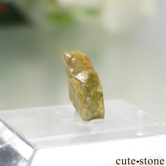 褫褿ڥɥåȡʥ ߥåСѥ饵ȥڥɥåȡ No.2μ̿0 cute stone