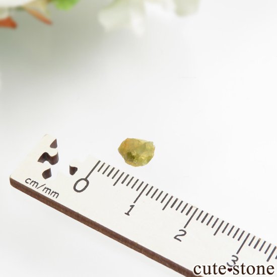 褫褿ڥɥåȡʥ ߥåСѥ饵ȥڥɥåȡ No.2μ̿2 cute stone