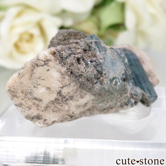 ե˥ Dara-i-Pech ֥롼ȥޥդ No.15μ̿0 cute stone