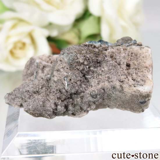 ե˥ Dara-i-Pech ֥롼ȥޥդ No.15μ̿1 cute stone